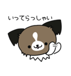 ハッピー☆パピヨン（個別スタンプ：15）
