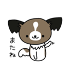 ハッピー☆パピヨン（個別スタンプ：16）