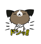 ハッピー☆パピヨン（個別スタンプ：23）