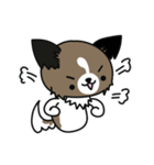 ハッピー☆パピヨン（個別スタンプ：26）
