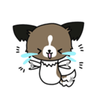 ハッピー☆パピヨン（個別スタンプ：30）