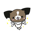 ハッピー☆パピヨン（個別スタンプ：31）