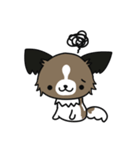 ハッピー☆パピヨン（個別スタンプ：33）