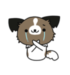 ハッピー☆パピヨン（個別スタンプ：35）
