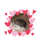 ❤️プリンちゃん❤️（個別スタンプ：10）