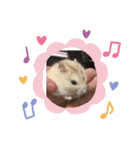 ❤️プリンちゃん❤️（個別スタンプ：13）