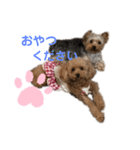 Ran＆Coco（個別スタンプ：2）