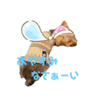Ran＆Coco（個別スタンプ：4）
