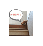 れおくんで伝えるキモチ（個別スタンプ：1）