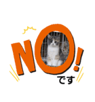 可愛い猫FAM（個別スタンプ：2）