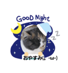 可愛い猫FAM（個別スタンプ：4）