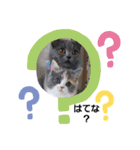 可愛い猫FAM（個別スタンプ：7）