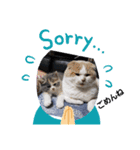 可愛い猫FAM（個別スタンプ：8）