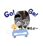 可愛い猫FAM（個別スタンプ：14）