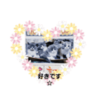 可愛い猫FAM（個別スタンプ：16）