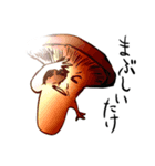 ウザかわ！煽る食べ物たち（個別スタンプ：10）