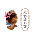 ゆるさ満開3姉弟の日常的に使えるスタンプ（個別スタンプ：11）