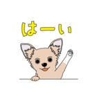 good dog stamp 2（個別スタンプ：6）