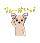 good dog stamp 2（個別スタンプ：7）