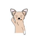 good dog stamp 2（個別スタンプ：8）