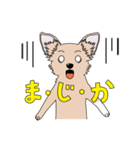 good dog stamp 2（個別スタンプ：12）