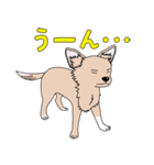 good dog stamp 2（個別スタンプ：13）