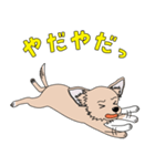 good dog stamp 2（個別スタンプ：21）