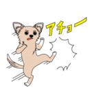 good dog stamp 2（個別スタンプ：24）