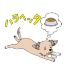 good dog stamp 2（個別スタンプ：29）