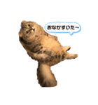 銀さん金さんもなか①（個別スタンプ：2）