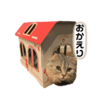 銀さん金さんもなか①（個別スタンプ：4）