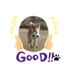 ★秋 王子★（個別スタンプ：6）