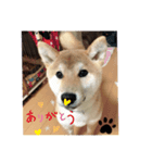★秋 王子★（個別スタンプ：7）