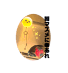 岡部とスタンプ02（個別スタンプ：1）