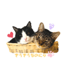 らずきなぽんた（個別スタンプ：2）