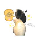 らずきなぽんた（個別スタンプ：8）