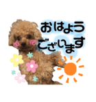わんわんスタンプ★（個別スタンプ：2）