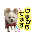 わんわんスタンプ★（個別スタンプ：5）