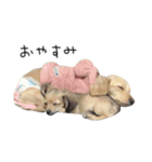 ゆるっとおこまめちゃん（個別スタンプ：4）