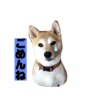 チョコやでPart3（個別スタンプ：8）