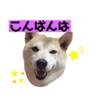 チョコやでPart3（個別スタンプ：16）
