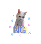 とうふとぽんずのにゃんスタンプฅ^•д•^ฅ（個別スタンプ：8）
