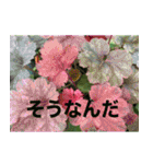 綺麗な花たち（個別スタンプ：4）