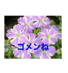 綺麗な花たち（個別スタンプ：5）