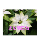 綺麗な花たち（個別スタンプ：10）