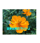 綺麗な花たち（個別スタンプ：12）