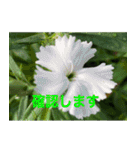 綺麗な花たち（個別スタンプ：18）