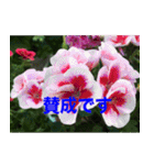 綺麗な花たち（個別スタンプ：19）