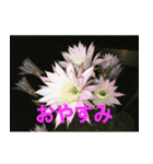 綺麗な花たち（個別スタンプ：27）