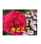 綺麗な花たち（個別スタンプ：28）